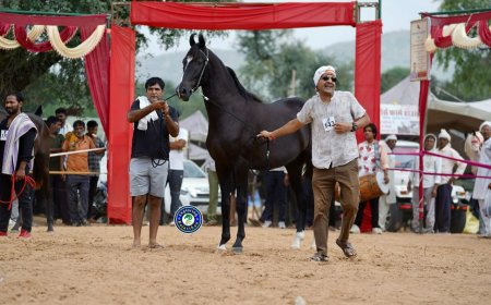 टोडपुरा में 1 अक्टूबर से सजेगा 'शेखावाटी हॉर्स शो 2026' और विशाल पशु मेला: देश-प्रदेश से जुटेंगे नामचीन अश्वपालक