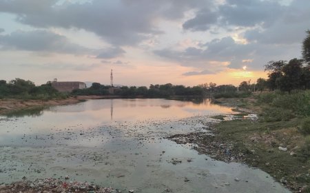 तखतगढ़ के गंवई तालाब में गंदगी और गंदे पानी की शिकायत पर मुख्यमंत्री कार्यालय गंभीर; पाली कलेक्टर से 7 दिन में मांगी रिपोर्ट