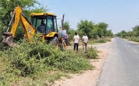 कोट में सड़क किनारे बबूल की झाड़ियों पर चला PWD का कुल्हाड़ा, ग्रामीणों को मिलेगी राहत; युवाओं ने जताया आभार