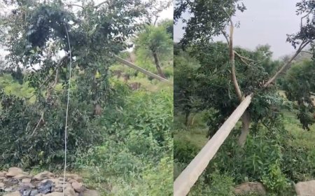 राजगढ़-लक्ष्मणगढ़: 48 घंटे बीतने पर भी नहीं सुधरा 11 केवी पोल, ऑनलाइन शिकायत के बाद भी नहीं बदला पोल, अंधेरे में रातें काटने को मजबूर पाटन के ग्रामीण