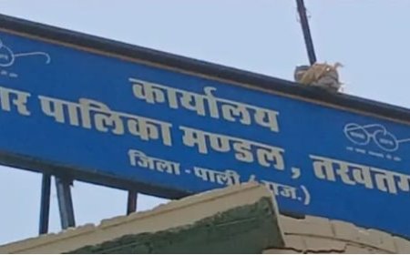 तखतगढ़ को 21 सितंबर को मिलेगा नया नगरपालिका अध्यक्ष; वोटिंग के तुरंत बाद आएंगे नतीजे