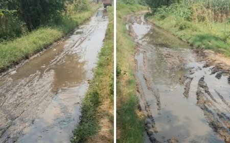 सुहांस-अजरौदा सड़क पर अतिक्रमण से बढ़ा जलभराव, ग्रामीणों में आक्रोश; अतिक्रमण के कारण पोखर में तब्दील हुआ मार्ग,