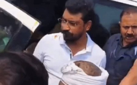 दिल्ली-मुंबई एक्सप्रेसवे पर सांसद चंद्रशेखर आजाद का भव्य स्वागत;  संगठन को गांव-गांव तक मजबूत करने का किया आह्वान