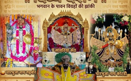 जलझूलनी एकादशी पर कृष्ण रंग में रंगा मेवाड़: 'एक सेठ, दो नाथ और ठाकुर जी' ने किए शाही जलविहार; हाथी घोड़ा पालकी' के जयकारों से गूंजी अरावली की धरा