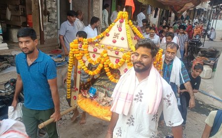 जलझूलनी ग्यारस: अलावड़ा में पालकी में विराजमान कर ठाकुर जी को प्राचीन सरोवर में कराया स्नान