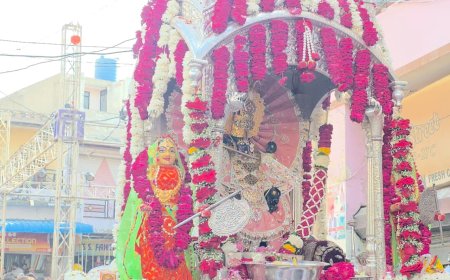 जलझूलनी एकादशी पर निकली भगवान चारभुजा नाथ की रजत रेवाड़ी