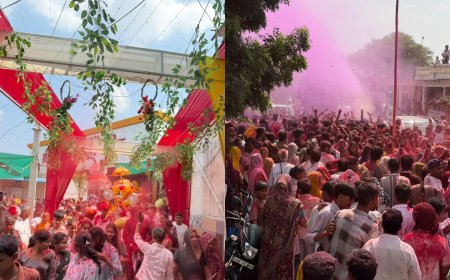 जलझूलनी ग्यारस पर बाड़िया श्याम मंदिर में उमड़ा भक्ति का सैलाब:जलझूलनी एकादशी पर बाड़िया श्याम का ऐतिहासिक आयोजन
