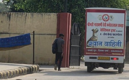 मानवता अभी जिंदा है: अलवर में घायल बेजुबान के लिए मसीहा बने दिव्यांग पुनर्वास गृह के विक्रम और डॉ. पारुल