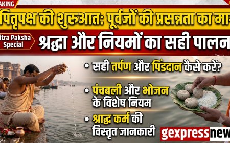 पितृपक्ष की शुरुआत: तर्पण और पिंडदान से प्रसन्न होंगे पूर्वज; जानिए श्राद्ध कर्म, पंचबली और खान-पान के सही नियम