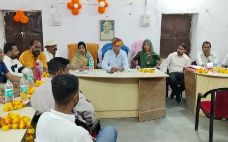 पहली बोर्ड बैठक में विकास के एजेंडे पर मुहर, पार्षदों ने उठाए शहर के ज्वलंत मुद्दे; आवारा पशुओं से राहत की मांग