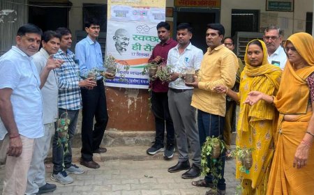'स्वच्छता ही सेवा' अभियान: कठूमर में कचरे से सजाई कला की दुनिया, 'वेस्ट टू आर्ट' में दिखाई प्रतिभाओं ने रचनात्मकता