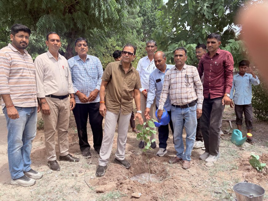 पीएम श्री राजकीय उच्च माध्यमिक विद्यालय बावड़ी में 51 पौधारोपण कर पर्यावरण संरक्षण संदेश दिया