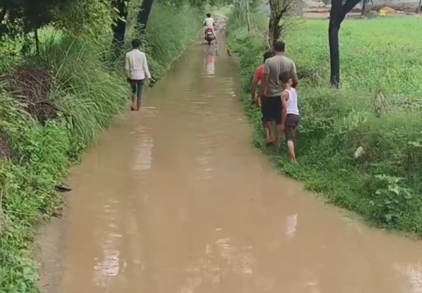 जलमग्न हुआ माली बास का आम रास्ता: ग्रामीणों ने तहसीलदार को सौंपा ज्ञापन