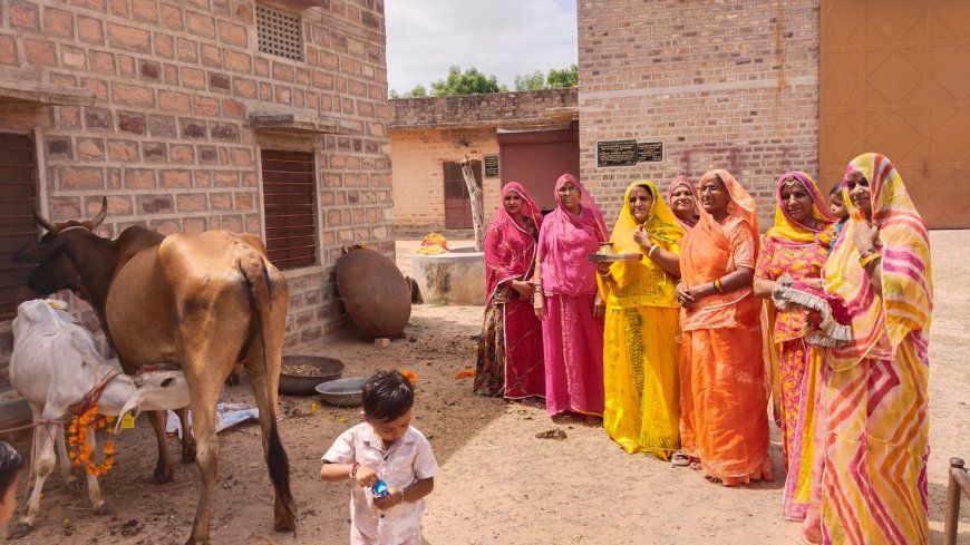 बछ बारस पर उमड़ी आस्था: महिलाओं ने गाय-बछड़े की पूजा कर मांगी पुत्रों की दीर्घायु, रखा निर्जला व्रत