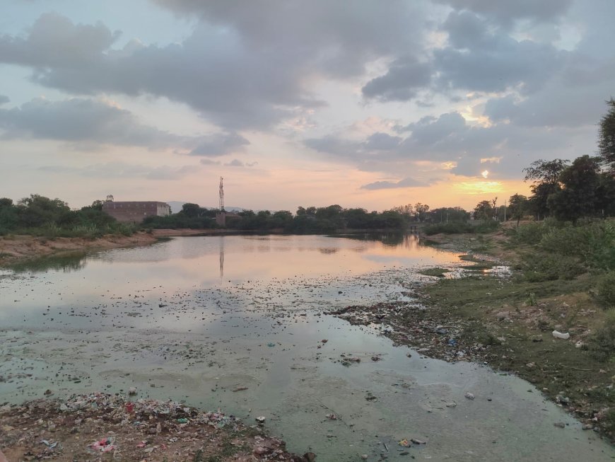 तखतगढ़ के गंवई तालाब में गंदगी और गंदे पानी की शिकायत पर मुख्यमंत्री कार्यालय गंभीर; पाली कलेक्टर से 7 दिन में मांगी रिपोर्ट