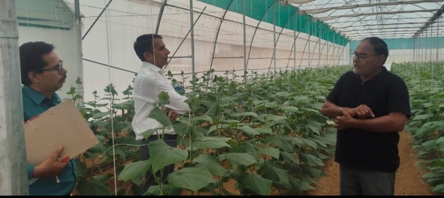 सरकारी अनुदान से चमकी किसान की किस्मत: खैरथल एडीएम ने देखी 23 लाख के पॉलीहाउस की सफलता