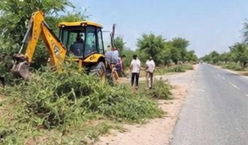 कोट में सड़क किनारे बबूल की झाड़ियों पर चला PWD का कुल्हाड़ा, ग्रामीणों को मिलेगी राहत; युवाओं ने जताया आभार