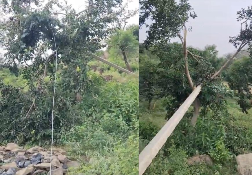 राजगढ़-लक्ष्मणगढ़: 48 घंटे बीतने पर भी नहीं सुधरा 11 केवी पोल, ऑनलाइन शिकायत के बाद भी नहीं बदला पोल, अंधेरे में रातें काटने को मजबूर पाटन के ग्रामीण