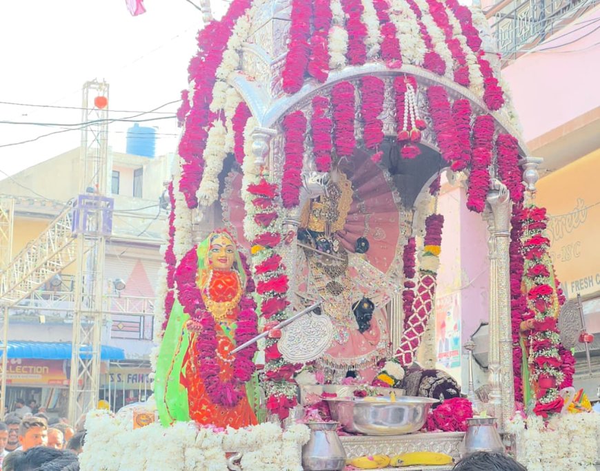 जलझूलनी एकादशी पर निकली भगवान चारभुजा नाथ की रजत रेवाड़ी