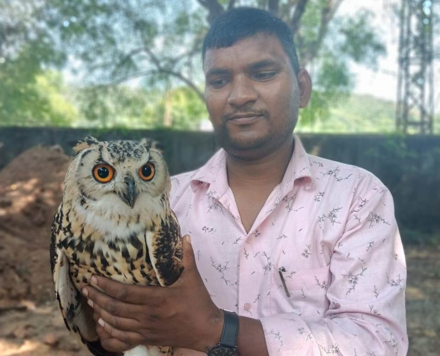 जागरूकता और तत्परता ने बचाई बेजुबान की जान! गुरलां में घायल उल्लू का रेस्क्यू, वन विभाग ने बताईं पक्षी से जुड़ी रोचक बातें