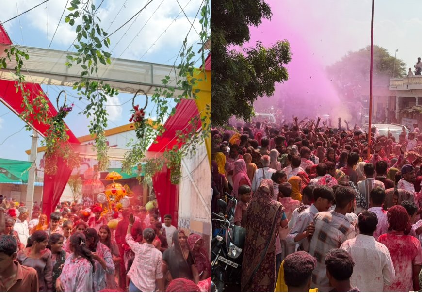जलझूलनी ग्यारस पर बाड़िया श्याम मंदिर में उमड़ा भक्ति का सैलाब:जलझूलनी एकादशी पर बाड़िया श्याम का ऐतिहासिक आयोजन