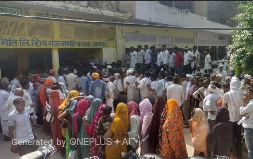 भरतपुर के बयाना में DAP खाद पर फूटा किसानों का गुस्सा, समिति पर मची अफरा-तफरी; लाइन में भिड़े किसान