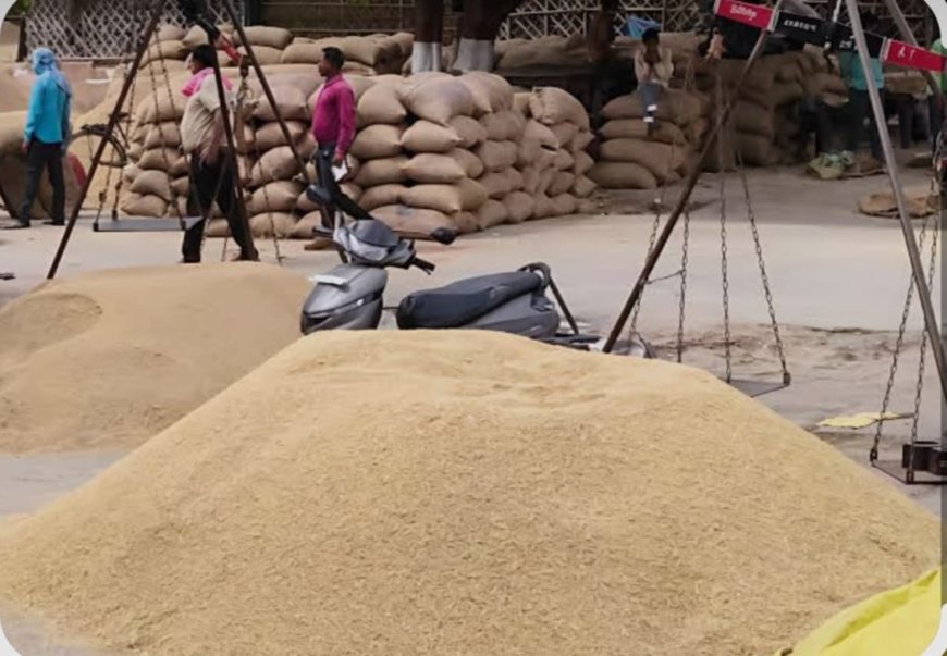 खैरथल मंडी में बाजरे की बंपर आवक: रोजाना पहुंच रहे 15-20 हजार कट्टे; ₹2200 तक मिले भाव, सरकारी खरीद की उठी मांग