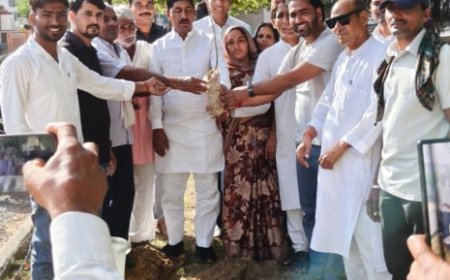 पीसीसी चीफ गोविंद सिंह डोटासरा का जन्मदिन सेवा दिवस के रूप में मनाया:  किया पौधारोपण
