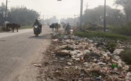 अलवर-भरतपुर मार्ग पर खुले में कचरे का अंबार, हादसों को न्योता दे रहे आवारा मवेशी