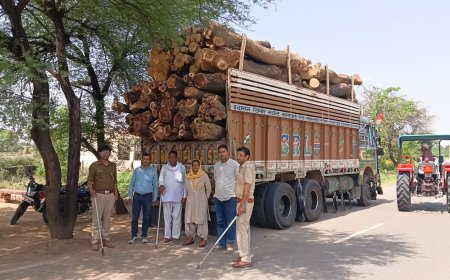 हरी लकड़ी से भरा ट्रक पकड़ा, वन माफिया में खलबली; पेड़ पर छिपे चालक-खलासी को दबोचा