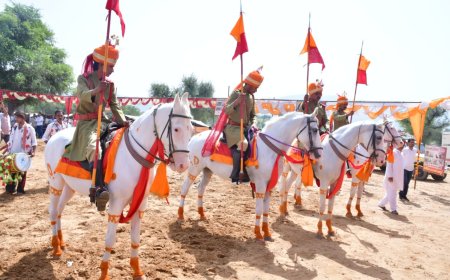 उदयपुरवाटी में सजा शेखावाटी हॉर्स शो: देश के कोने-कोने से पहुंचे अश्वपालक,140 शानदार घोड़ों ने लिया हिस्सा