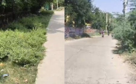 राजगढ़ में मौसमी बीमारियों का खतरा बढ़ा: नगर पालिका प्रशासन से कस्बे में शीघ्र फॉगिंग कराने और खरपतवार हटाने की उठी पुरजोर मांग