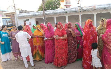 पावा गांव में धूमधाम से मनाया गया महालक्ष्मी माता का जन्मोत्सव: भव्य श्रृंगार, पालखी यात्रा और भजन संध्या से गूंजा परिसर
