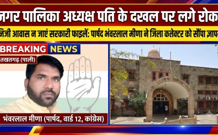 नगर पालिका अध्यक्ष पति के दखल पर लगे रोक, निजी आवास न जाएं सरकारी फाइलें; पार्षद ने जिला कलक्टर को सौंपा ज्ञापन