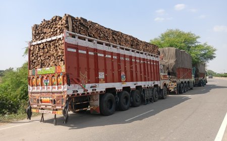 जयपुर नेशनल हाइवे पर बड़ी कार्रवाई: हरी लकड़ी से भरा ट्रक ज़ब्त,चौगुने किराए के लालच में हो रहा था अवैध लकड़ी का खेल,चालक गिरफ्तार