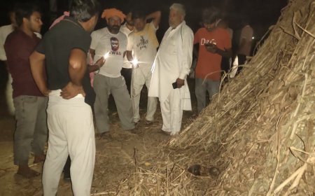 बाजरे की कड़बी में छिपाकर रखी गईं मंदिर की घंटियां, ग्रामीणों में हड़कंप; पुलिस जुटी जांच में