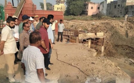 भरतपुर: जिला कलक्टर कमर चौधरी ने 3 घंटे किया विकास कार्यों का औचक निरीक्षण; निर्माण में गुणवत्ता और समयबद्धता पर दिया जोर