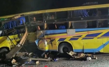 महुवा:NH-21 पर पीपलखेड़ा कट के पास दर्दनाक सड़क हादसा: स्लीपर बस और कंटेनर की टक्कर में महिला की मौत, 25 घायल