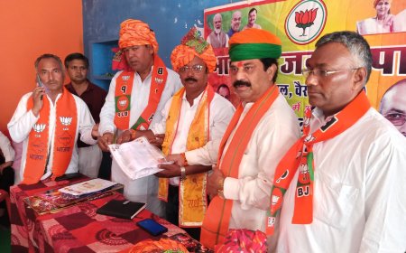 संगठित होकर लड़े जाएंगे पंचायती राज चुनाव: हलैना में भाजपा कार्यकर्ता सम्मेलन आयोजित, टिकट के लिए दावेदारों ने सौंपे आवेदन