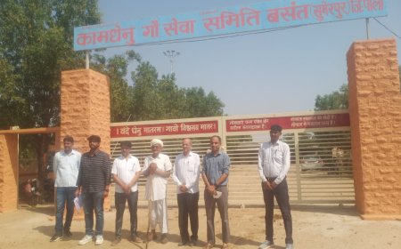 तखतगढ़: गौशालाओं में फर्जीवाड़े रोकने को लेकर प्रशासन अलर्ट, दो गौशालाओं का औचक निरीक्षण कर किया भौतिक सत्यापन