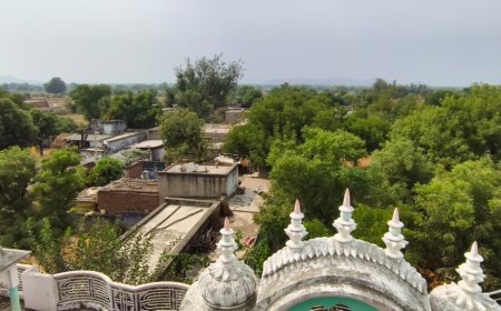 नारनौल खुर्द पंचायत चुनाव: 12 से अधिक दावेदारों ने ठोकी ताल, तिलकपुर के मतदाताओं की भूमिका रहेगी निर्णायक