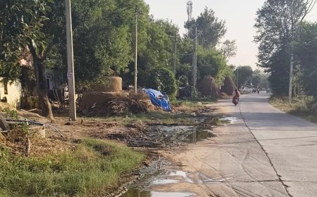 बिचगांवा बस स्टैंड के पास सड़क पर भरा गंदा पानी,बढा हादसों का खतरा;  लक्ष्मणगढ़ रोड पर जलभराव से वाहन चालकों को परेशानी