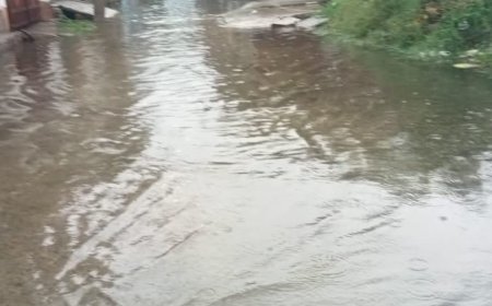 खैरथल:नगर परिषद की नाकामी: बारिश ने खोली नालों के दावों की पोल, सड़कें बनीं गंदे पानी का दरिया