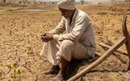 बदलते मौसम की मार से फसल बचाने का फॉर्मूला: 15 नवंबर तक पूरी कर लें गेहूं की बुआई, रबी मक्का के लिए यह समय सबसे उत्तम