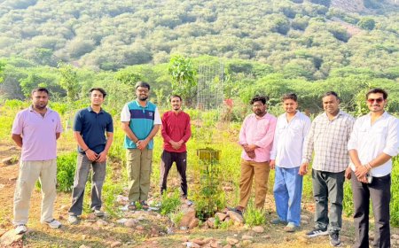 सतीश पूनिया के जन्मदिवस पर अलवर के भूरा सिद्ध मातृ वन में हुआ पौधारोपण, चौधरी चरण सिंह विचार मंच ने दिए हरियाली के संदेश