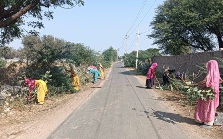 नरेगा श्रमिकों के श्रमदान से चमकी सड़कें: मकराना के वार्ड 60 की बदली सूरत, मिंडकिया रोड पर चलाया गया सघन सफाई अभियान