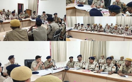 पंचायत चुनाव-2026 को लेकर दौसा पुलिस मुस्तैद: एसपी कुन्दन कंवरिया ने सुपरवाइजर अधिकारियों की ली बैठक, दिए कड़े निर्देश