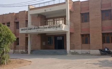 बावड़ी-हतुंडी में पंचायती राज का रण: 30 सीटों पर आज मतदान, 1.09 लाख मतदाता तय करेंगे 98 प्रत्याशियों का भविष्य
