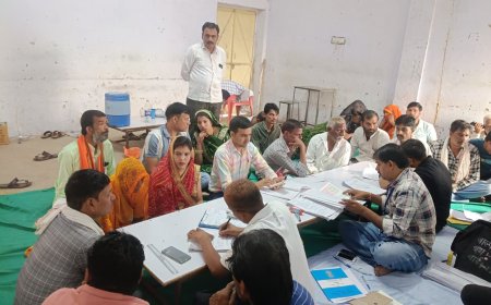 महुवा पंचायत समिति चुनाव: वीरपुर में सरपंच पद के लिए सबसे ज्यादा 15 तो रौत में सबसे कम 4 उम्मीदवार मैदान में