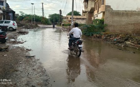 लक्ष्मणगढ़ नगर पालिका क्षेत्र के वार्ड नंबर 18 जालूकी रोड स्थित गंदगी का आलम